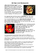 Die-Tulpe-in-der-Blumensprache.pdf